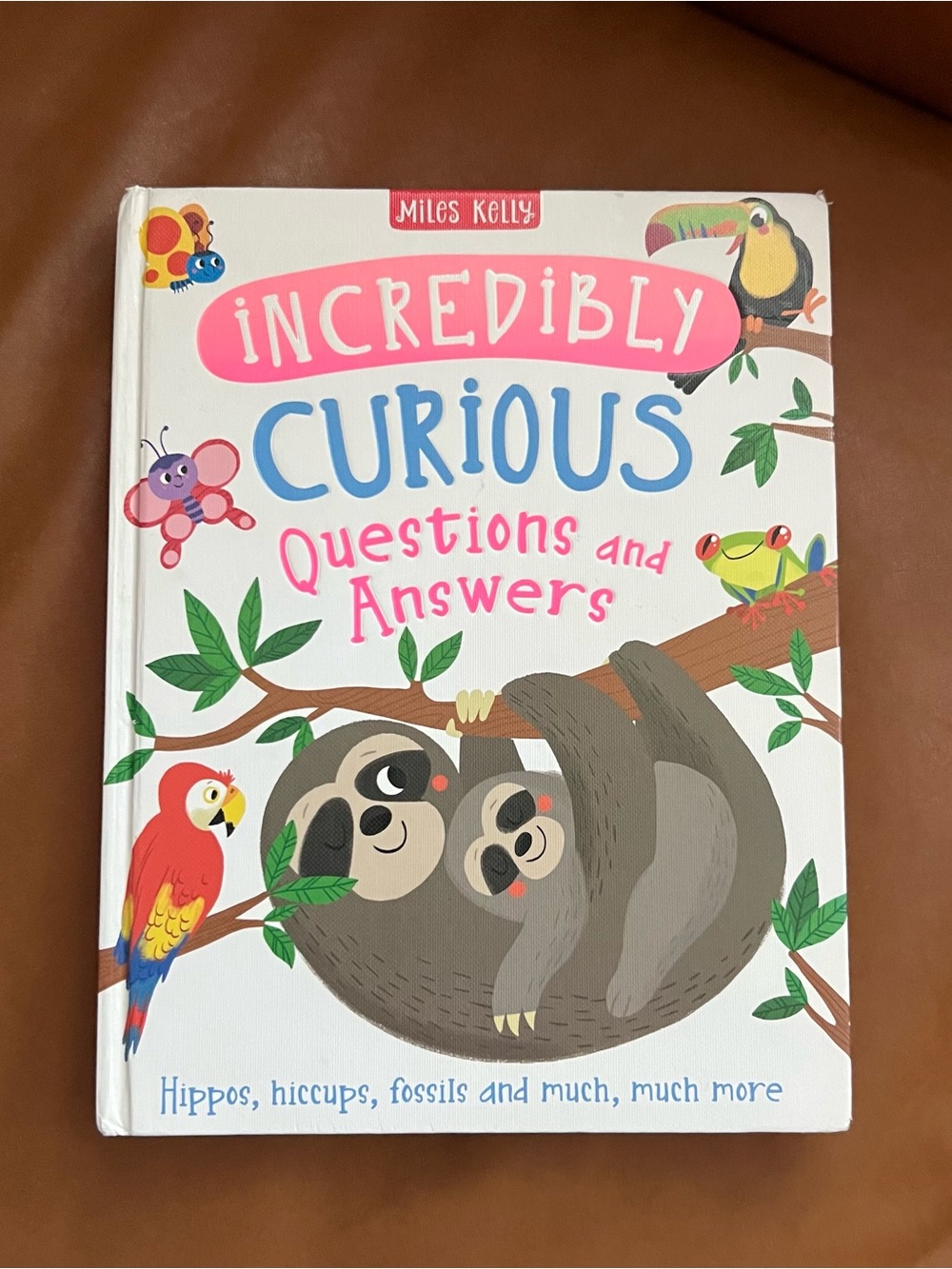Miles Kelly Incredibly Curious Questions and Answers hardcover children's book